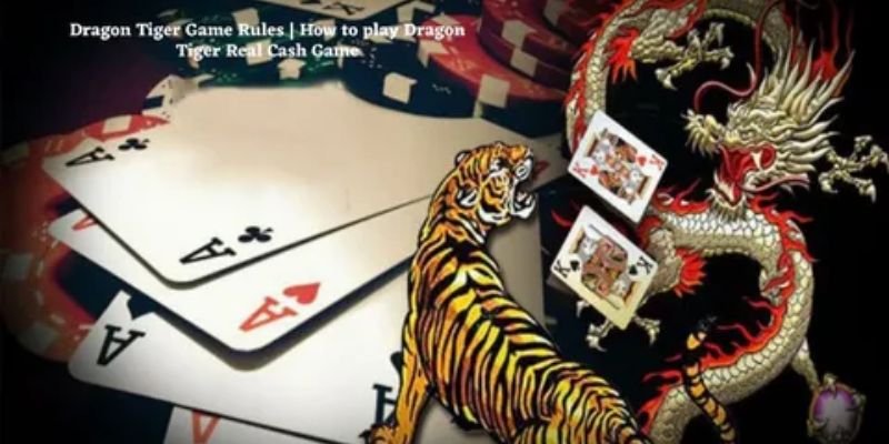 Bí quyết chơi rồng hổ online đang trở thành từ khóa nóng