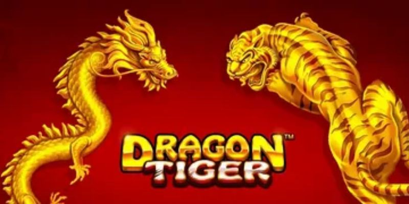 Bí quyết chơi rồng hổ online mà không lo rủi ro